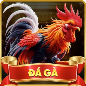 Đa dạng sản phẩm giải trí 88kim xổ số