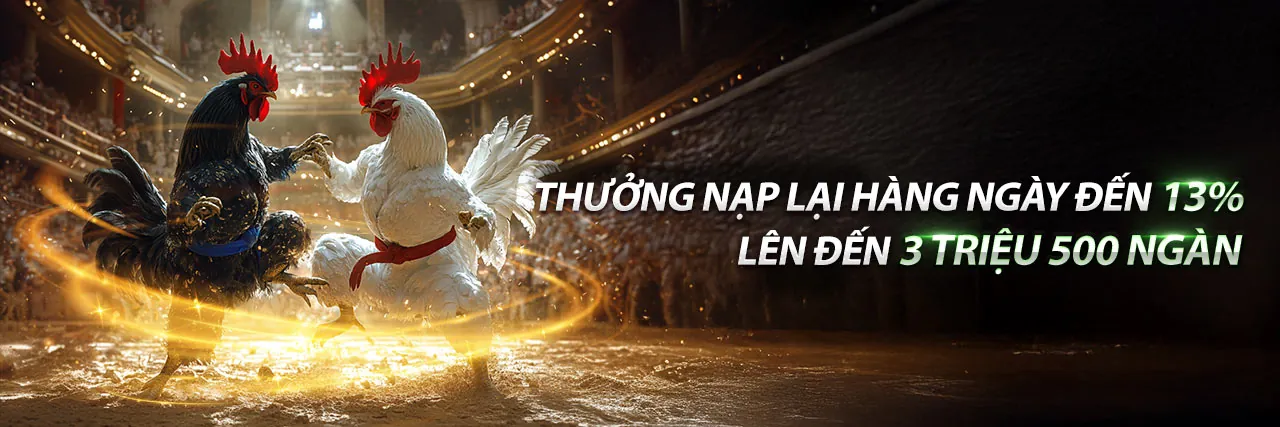 Trận đấu đá gà kịch tính tại 88kim xổ số